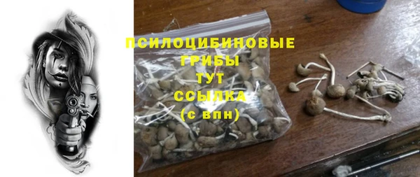 mdpv Алзамай