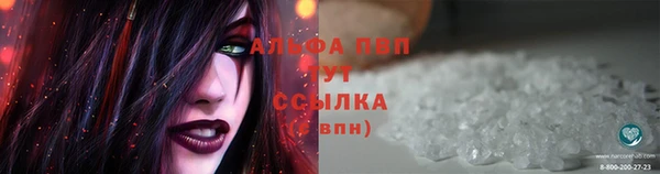 дживик Корсаков